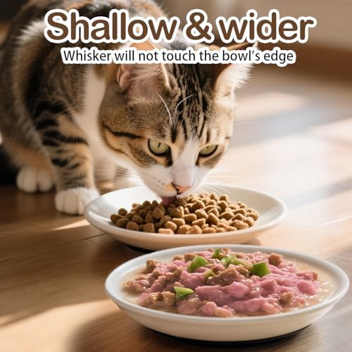 Cat Food Bowl Set of 3,Ceramic Cat Bowls,Anti Whisker Fatigue Cats Bowl Set,5.9 Inches Shallow Wide Kitten Plates with Silicone Base for Wet/Dry Food,Indoor Pets (Fish Bone) - Image 5