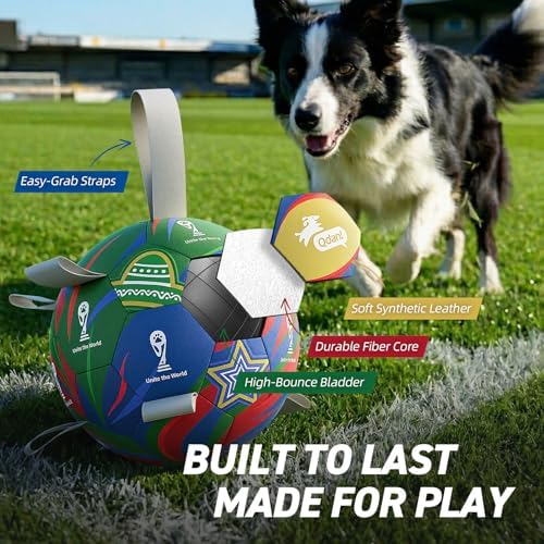 QDAN Dog Soccer Ball with Straps, 7 Inch World Cup Soccer Ball for Dogs, Water Toy, Dog Ball Toys for Medium Large - Image 4