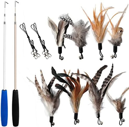 Cat Toys - No Chemical Dyeing Cat Feather Toys for Indoor Cats - Include Cat Wand and Natural Feather Refills by EcoCity