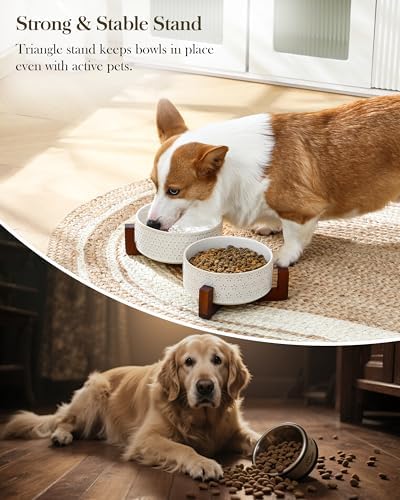 MALACASA Dog Bowl Set, Ceramic Bowls with Walnut Wood Stand, 4 Cups - Image 6