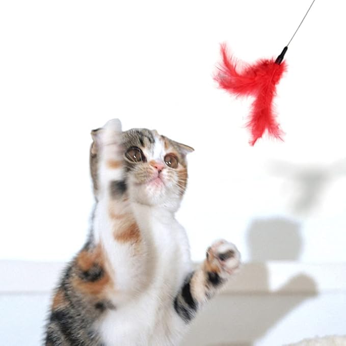 balacoo 3pcs Interactive Cat Teaser Sticks Engaging Wands for Playtime for Indoor Cats Relieves Stress and Boosts Bonding