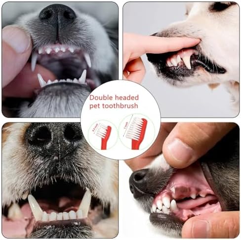 Dog Toothbrush Set of 8 – Dual Headed Dental Hygiene Brushes for Small to Large Dogs, Easy Teeth Cleaning & Dental Care,Dog Tooth Brushes for Small to Large Dogs, Cats, and Most Pets - Image 5