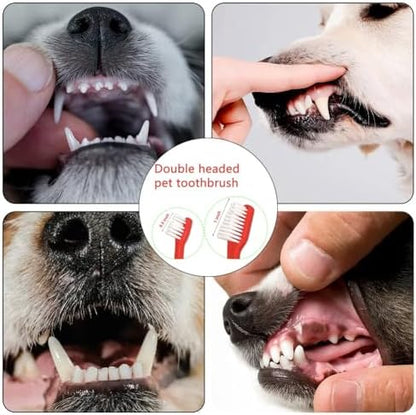 Dog Toothbrush Set of 8 – Dual Headed Dental Hygiene Brushes for Small to Large Dogs, Easy Teeth Cleaning & Dental Care,Dog Tooth Brushes for Small to Large Dogs, Cats, and Most Pets - Image 5