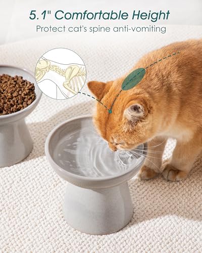 vancasso 2-Pack Extra Wide Elevated Cat Bowls, Ceramic Raised Cat Bowls - Image 5