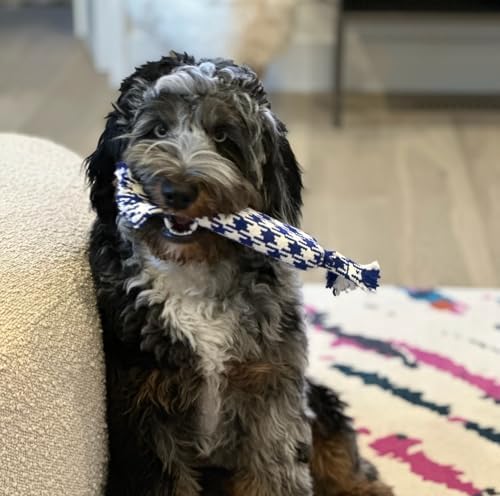 rocket & rex Puppy Tug Rope Toys for Small Dogs, Teething (4pk) - Image 2