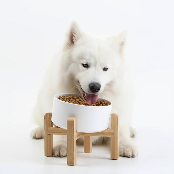 Petygooing White Elevated/Raised 15°Slanted Ceramic Dog Bowl for Small and Medium Breeds, Tilted Anti Slip Pet Feeding Bowl,Food Water Dish with Stand for Cats and Dogs (28 OZ/3.6 Cups)