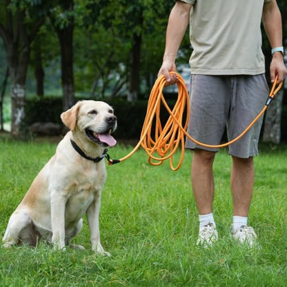 Long Dog Leash, 10ft 30ft 50 feet Heavy Duty Dog Training Leash, Aviation Aluminum Auto Locking Carabiner, Nylon Rope Long Line Check Cord Recall Lead for Yard,Playing,Camping,Orange,30FT - Image 5