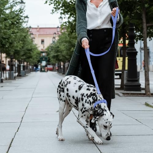 Wisedog Two Handles Dog Leash, Moonlight Blue, M|4.2 ft-5 ft - Image 6
