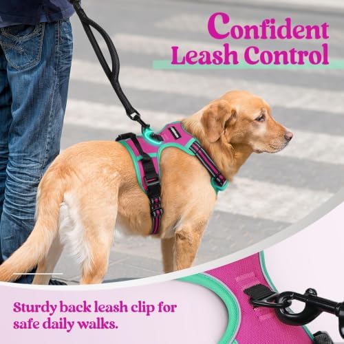 rabbitgoo Dog Harness, No Pull for Large Dogs with 2 Leash Clips, Pet Vest - Image 6