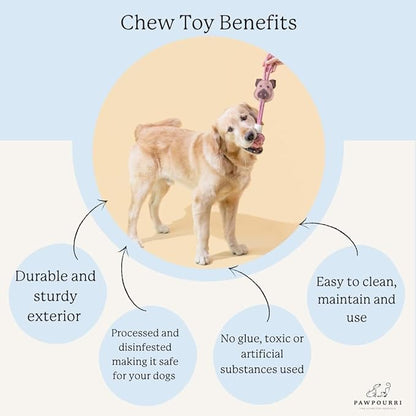 Natural Jute Dog Chew Toy – Lion Shape, Tough & Durable Puppy Teething Toy, Safe Eco-Friendly Chew, Interactive Training & Play Toy for Small, Medium & Large Dogs