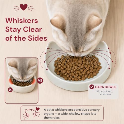 7 Ruby Road Shallow Cat & Kitten Food Bowls, Whisker Friendly, Set of 2 - Image 7