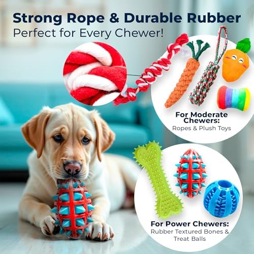 Pacific Pups Products Dog Chew Toys, Dog Toys Bulk, 18 Pack, Small/Medium - Image 3