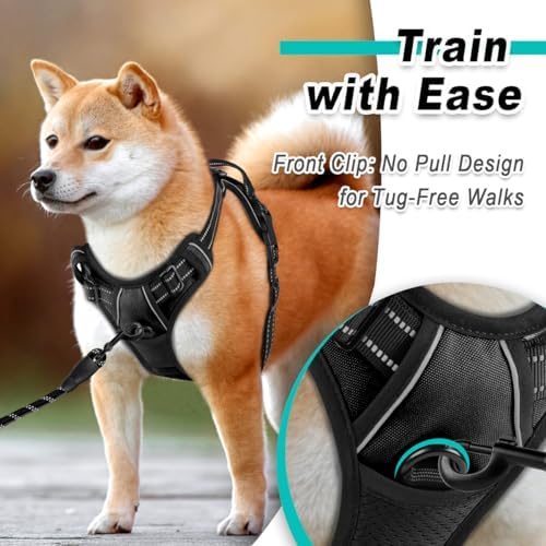 BARKBAY Dog Harness for Small Sized Dog No Pull 2 Leash Clips Dog Vest - Image 2