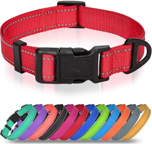 Joytale Feather-Light Dog Collar for Extra Large Dogs, 1 1/4", Red by Joytale