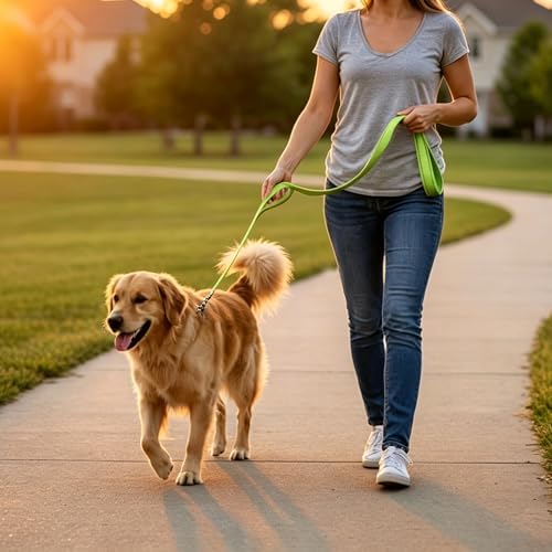10FT Dog Leash with Traffic Handle Reflective Large Medium Dogs - Image 6
