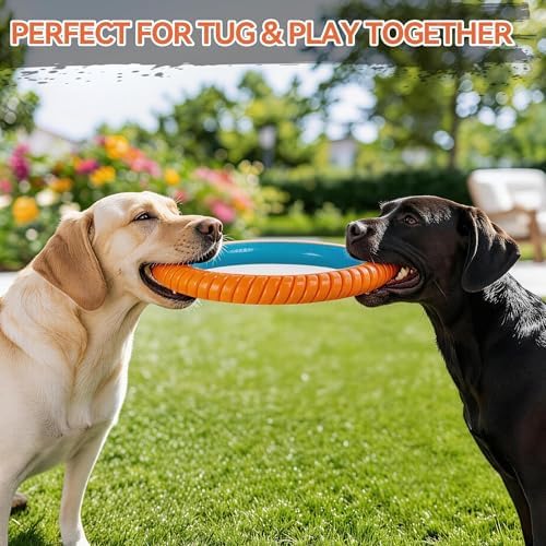 ALL FOR PAWS 10.8" Durable Dog Ring Toy, Interactive Dog Toy for Fetch & Tug of War, Chew-Resistant Rubber Toy for Medium to Large Dogs, Outdoor Toy for Training & Exercise - Image 7
