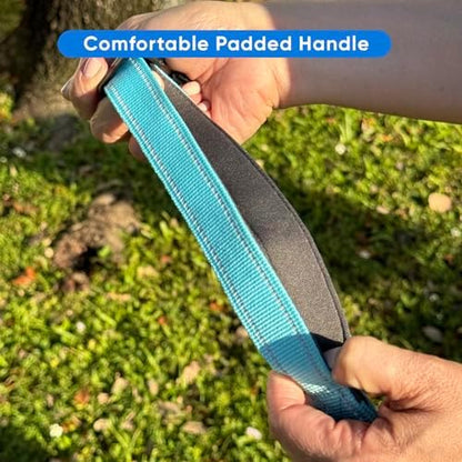 Pawtitas Reflective Teal Running Handsfree Puppy or Dog Leash Padded Handle, 5 ft., Medium, Blue - Image 5