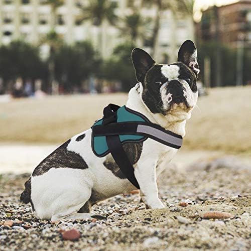 Dog Harness, No-Pull Reflective Dog Vest, Breathable Adjustable Pet Harness with Handle for Outdoor Walking - No More Pulling, Tugging or Choking (Turquoise, M) - Image 5