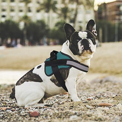 Dog Harness, No-Pull Reflective Dog Vest, Breathable Adjustable Pet Harness with Handle for Outdoor Walking - No More Pulling, Tugging or Choking (Turquoise, M) - Image 5