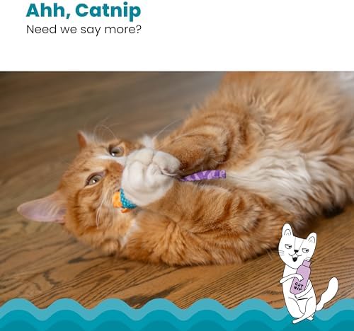 Catstages Catnip Chew Mice 2 Pack– Interactive Dental Cat Chew Toy that Helps Clean Teeth, Mouse, Multicolored - Image 4