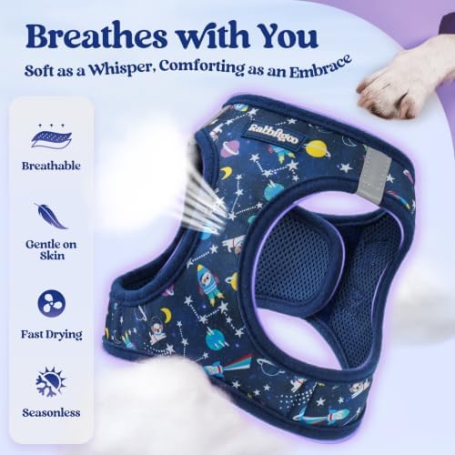 rabbitgoo Dog Harness Small Sized and Leash Set, Step-in Puppy Pet Vest - Image 4