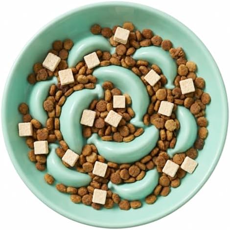 Ceramic Slow Feeder Cat Bowl, 6.3'' Wide Whisker Friendly Cat Puzzle Feeder by PTOBER