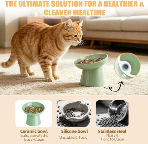 Ceramic Elevated Slow Feeder Cat Bowl - 6" Raised Cat Food Bowl for Bloat Relief & Anti-Vomiting, Whisker Friendly Ceramic Cat Slow Feeder for Indoor Cats, Kittens, Puppies - Green(1pc) - Image 5