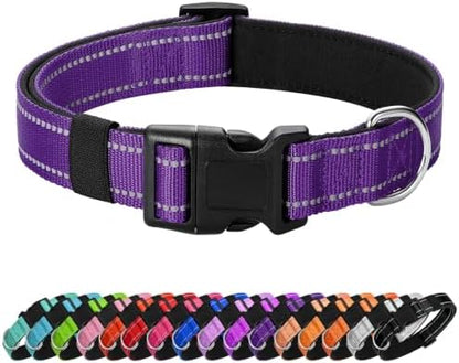 Reflective Dog Collar, Adjustable Nylon for Small Dogs, Purple by Penseepet