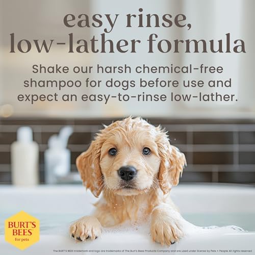Burts Bees Tearless Shampoo & Conditioner with Buttermilk, 16 Fl Oz, 6-Pk - Image 4