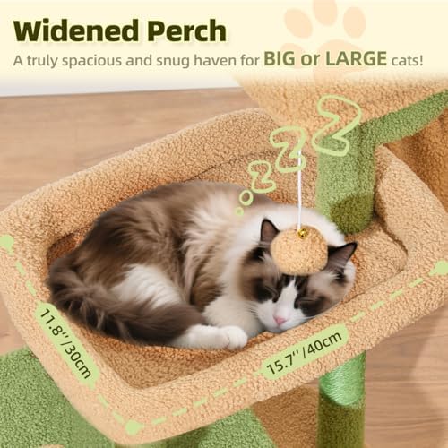 Taoqimiao 32.2in Cat Tree with Toy, Small Cat Tower for Indoor Cats, MS043T - Image 2