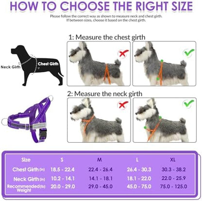 SlowTon No Pull Dog Harness and Leash Set - Heavy Duty, Soft Padded - Image 6