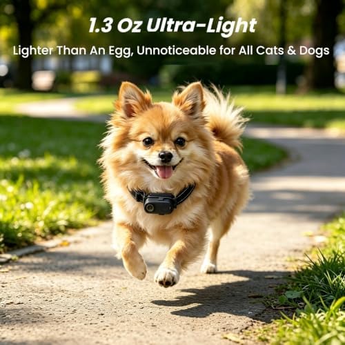 2K POV Cat Camera Collar with 32GB SD Card, WiFi Hotspot for App - Image 4