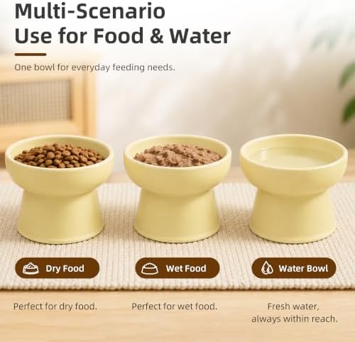 Casfuy Non-Skid Whisker-Friendly Elevated Ceramic Cat Food & Water Bowl - Image 6