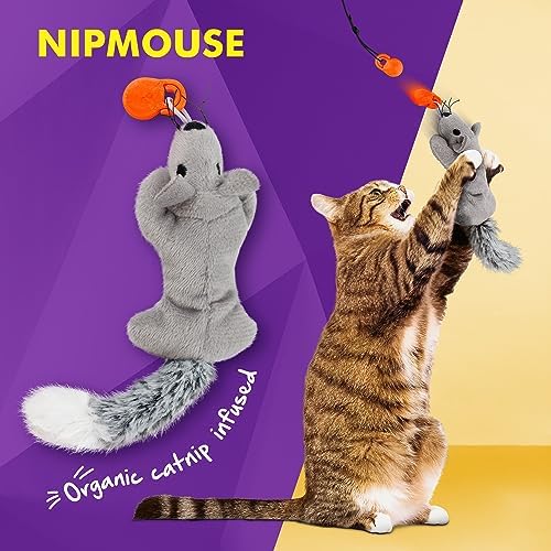 Cat Amazing Snatch Pack - 5 Magnetic Attachments for The Snatch Magnetic Wand Toy - Catnip Mouse, Rattle Snake, Crinkle Fish, Scrunchy Ball and Feather - Cat Teaser Toys - Really Catch! - Image 2