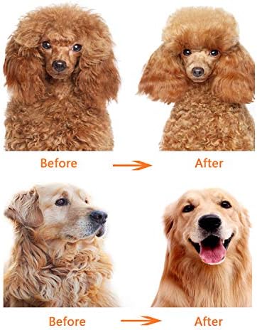 Long Hair Dog or Cat Comb Grooming with Short and Long Teeth Dematting Knots Tangles Remover Combs Detangler Tool Suitable for Dogs Cats Poodle HorseStainless Steel Pin - Image 5