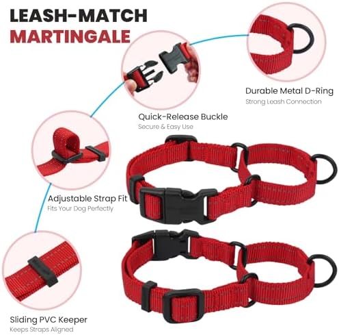 VIVAGLORY Double Handle Dog Leash Twingrip, 5ft x 1in, L, Red - Image 4