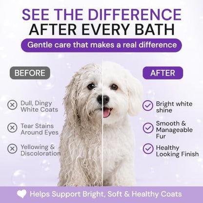 Bright White Natural Whitening Dog Shampoo and Conditioner for Dogs with Aloe Vera, pH Balanced Dog Shampoo and Conditioner Set, Tear-Free for Sensitive Skin 26.4 Oz (Pack of 2) - Image 7