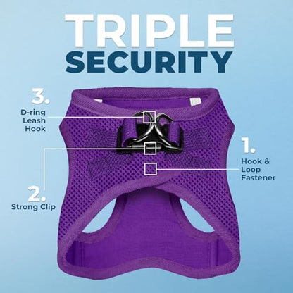 Best Pet Supplies Voyager Step-in Air All Weather Mesh Harness and Reflective Dog 5ft Leash Combo with Neoprene Handle, for Small, Medium and Large Breed Puppies - Purple, Large - Image 2