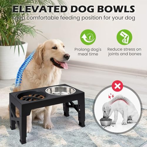 Elevated Dog Bowls with 5 Adjustable Heights Stand - Image 4