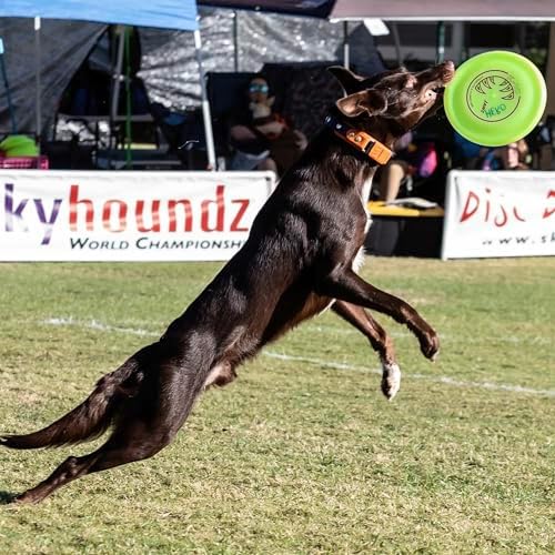 Hyperflite K-10 Jawz Puncture Resistant Dog Flying Disc, Medium-Large - Image 6