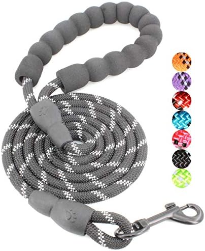 BAAPET 2/4/5/6 FT Dog Leash with Comfortable Padded Handle and Highly Reflective Threads for Small Medium and Large Dogs (5FT-1/3'', Black) by BAAPET