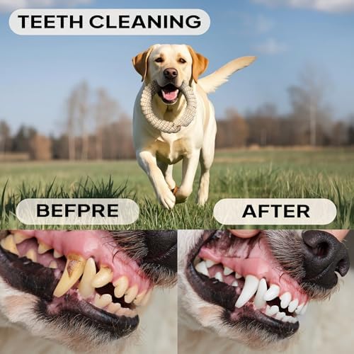 PetiFine Dog Rope Toys for Aggressive Chewers,4 Pack Cotton Dog Chew Toys - Image 5