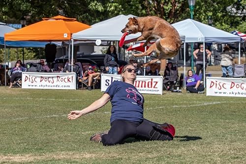 Hyperflite Pup Jawz Puncture Resistant Dog Flying Disc, Small Dogs - Image 6