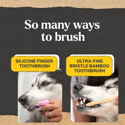 Dr. Oakley Dental Toothbrush Kit for Dogs & Cats -Finger Brush for Small Pets and Soft brushes for Large or Older Natural and Safe Peanut Butter Flavor - - Image 5
