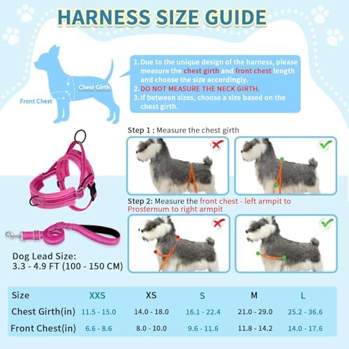SlowTon No Pull Small Dog Harness and Leash Set with Front Clip - Image 5