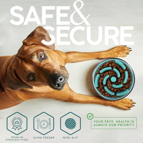 FAHRMOSIS 64 OZ Dog Bowl with Slow Feeder Insert Stainless Steel Pet Water Bowl for Medium & Large Breed Non Slip Rubber Base & Plastic Puzzle Feeder - Teal - Image 4