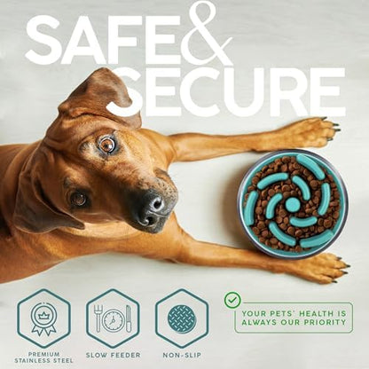 FAHRMOSIS 32 Oz Dog Bowl with Slow Feeder Insert Stainless Steel Pet Water Bowl for Medium & Large Breed Non Slip Rubber Base & Plastic Puzzle Feeder - Teal - Image 4