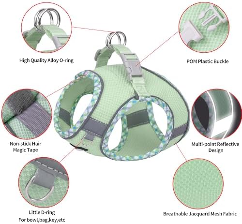 AIITLE Medium Dog Harness and Leash Set with Breathable Mesh, Sage M - Image 4
