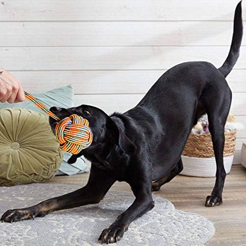 Youngever 6 Pack Large Dog Rope Toys, Chew Toys
