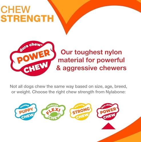Nylabone Power Chew Original Bone Dog Toys, Chicken & Bacon Flavor, 2 Count - Image 5